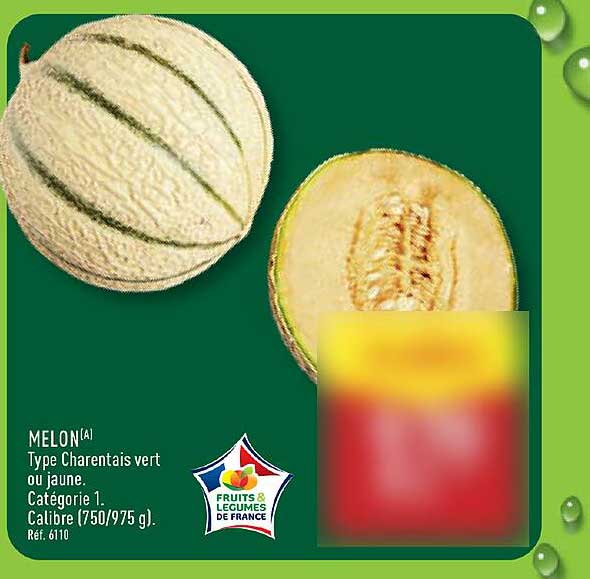 MELON Type Charentais vert ou jaune