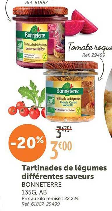 Tartinades de légumes différentes saveurs