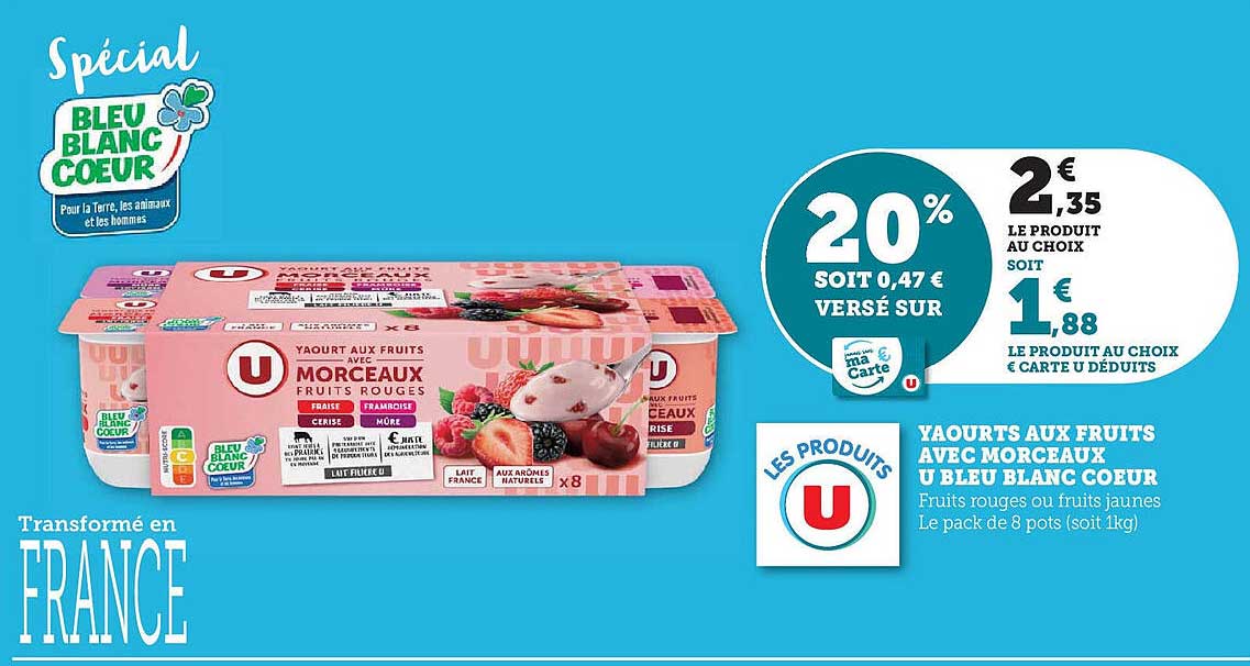 Yaourts aux fruits avec morceaux U Bleu Blanc Coeur