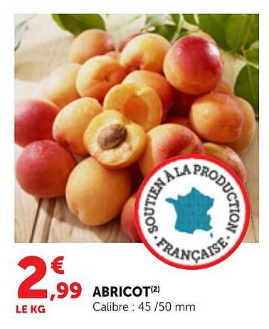 ABRICOT(2)