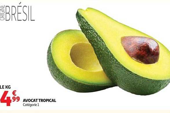 AVOCAT TROPICAL