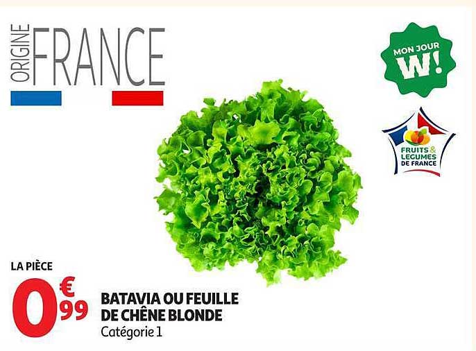 BATAVIA OU FEUILLE DE CHÊNE BLONDE