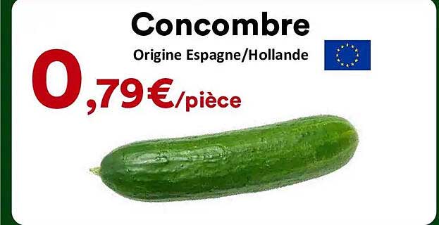 Concombre