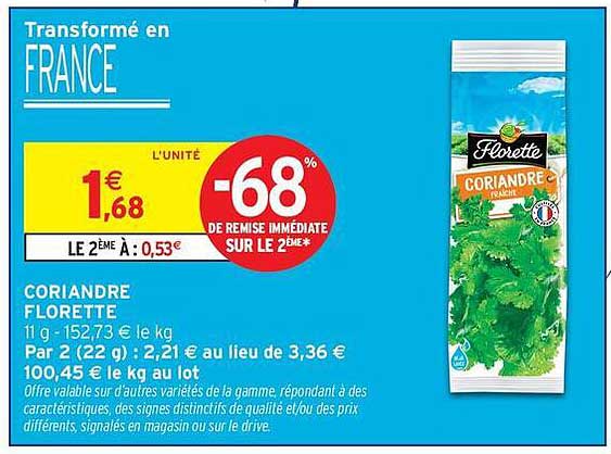 CORIANDRE FLORETTE