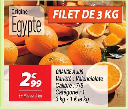 FILET DE 3 KG