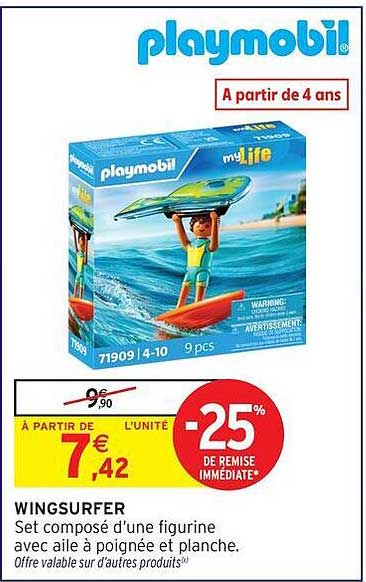 WINGSURFER