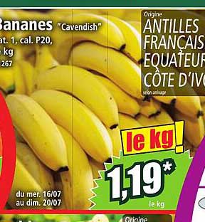 Bananes "Cavendish"