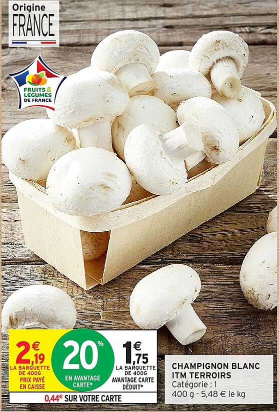 CHAMPIGNON BLANC ITM TERROIRS
