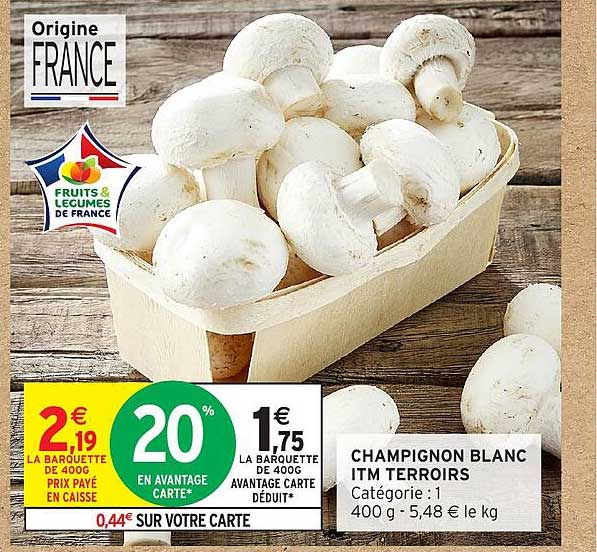 Champignon Blanc ITM Terroirs