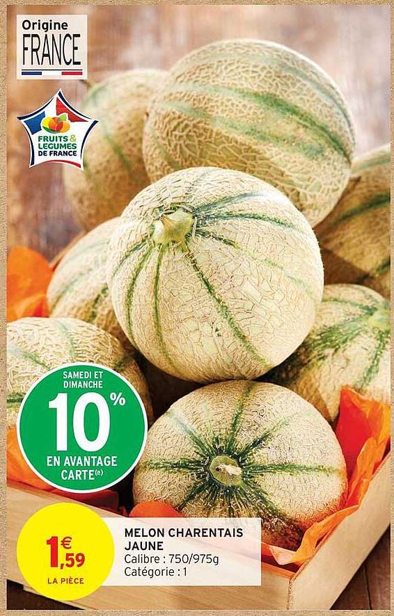 MELON CHARANTAIS JAUNE