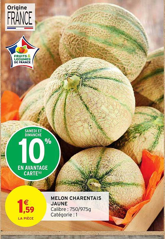 MELON CHARANTEAIS JAUNE