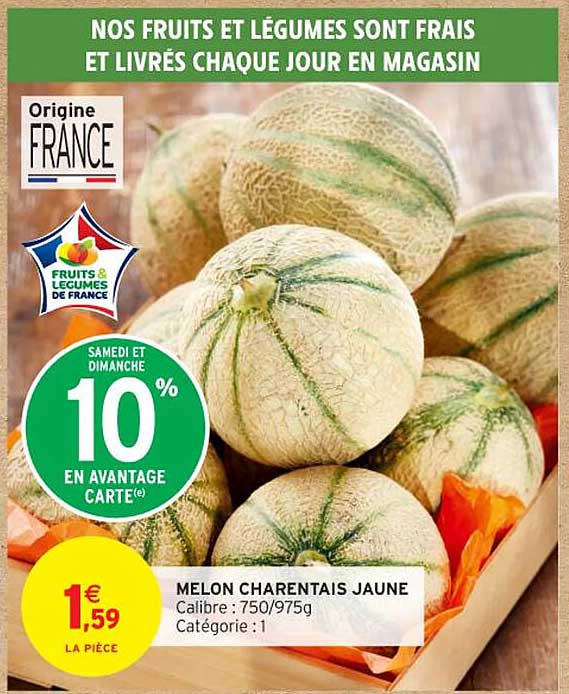 MELON CHARANTEAIS JAUNE