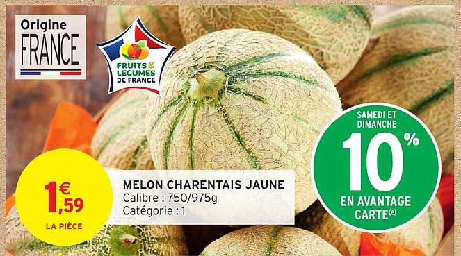MELON CHARENTAIS JAUNE