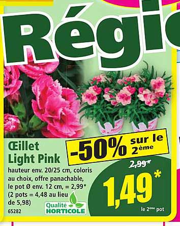 Œillet Light Pink