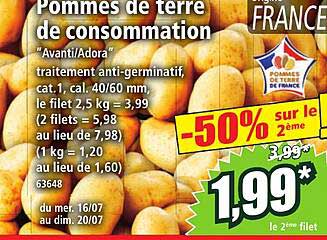 Pommes de terre de consommation