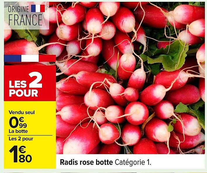 Radis rose botte Catégorie 1