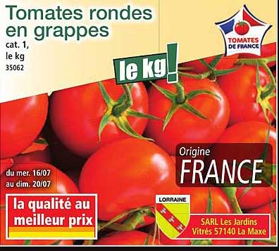 Tomates rondes en grappes