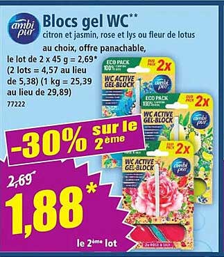 Blocs gel WC**
