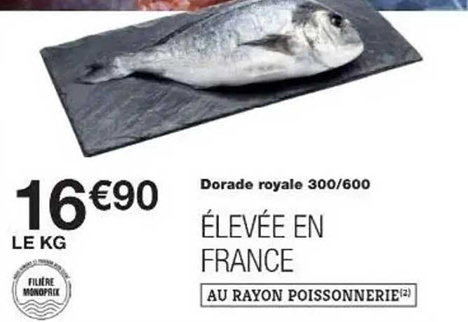 Dorade royale 300/600