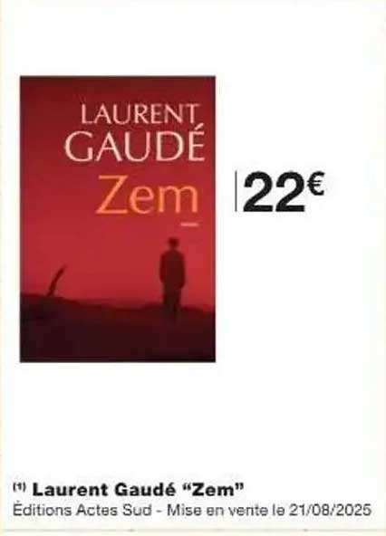 Laurent Gaudé "Zem"
