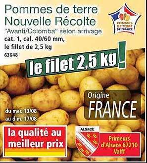 Pommes de terre Nouvelle Récolte "Avanti/Colomba" selon arrivage