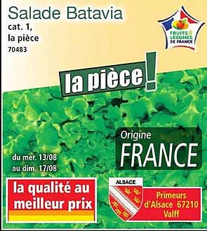 Salade Batavia