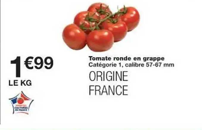 Tomate ronde en grappe