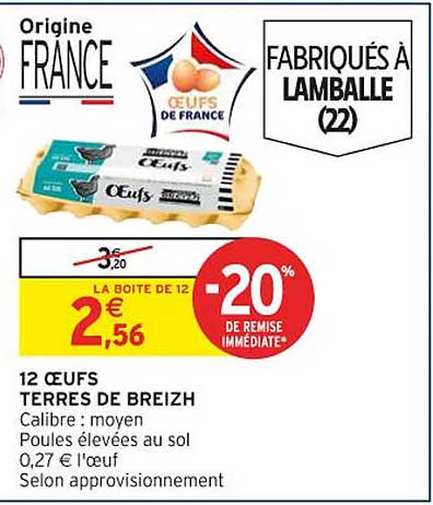 12 ŒUFS TERRES DE BREIZH