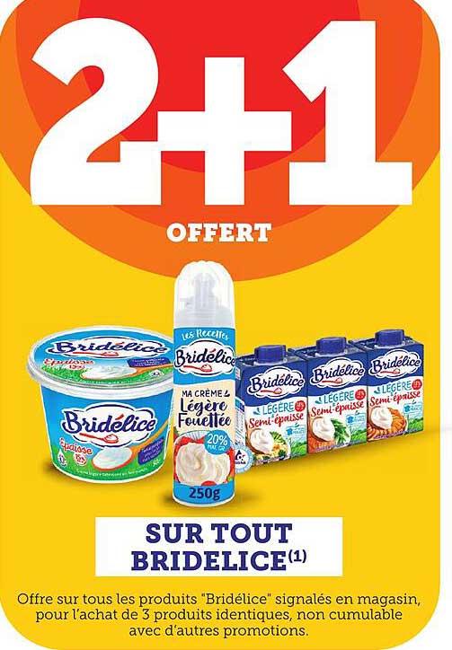 2+1 OFFERT SUR TOUT BRIDÉLICE
