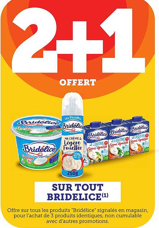 2+1 OFFERT SUR TOUT BRIDELICE(1)