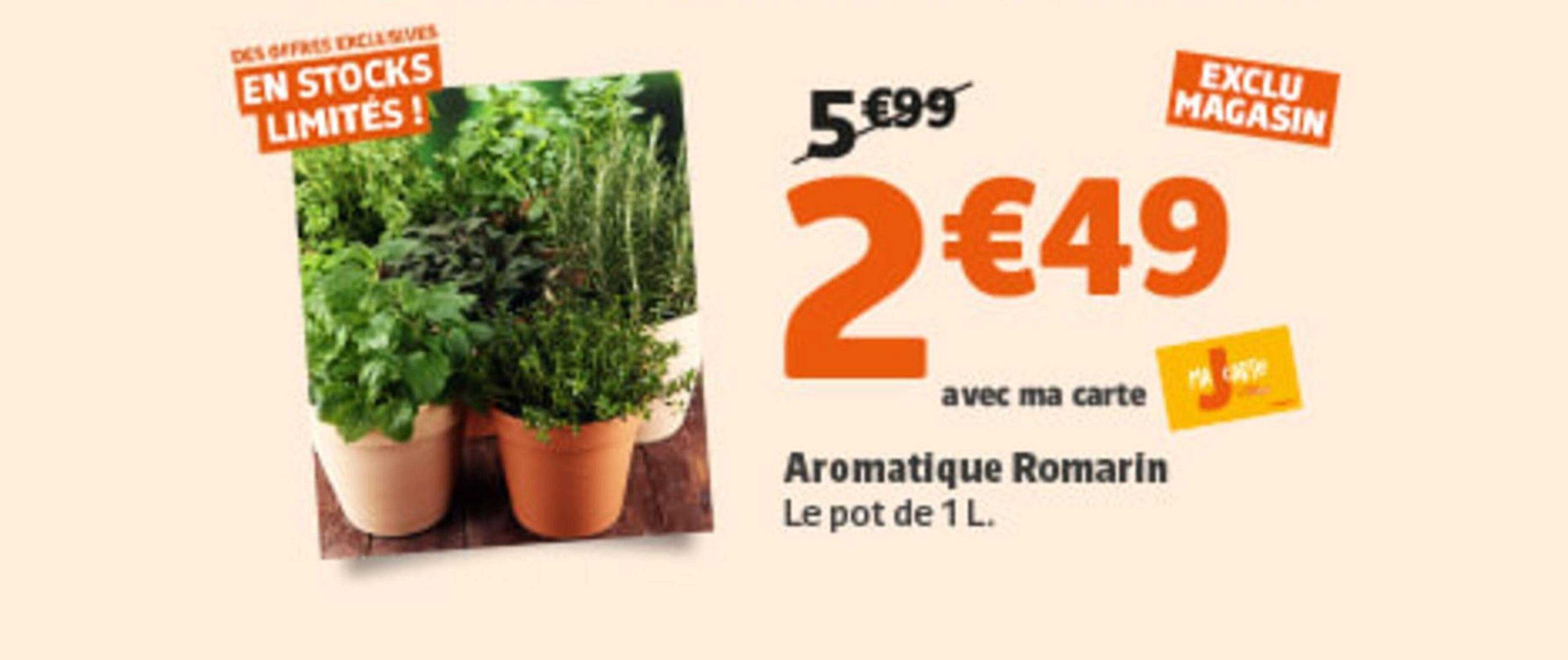 Aromatique Romarin - Le pot de 1 L.