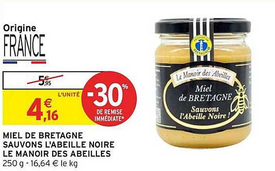 MIEL de BRETAGNE SAUVONS L'ABEILLE NOIRE