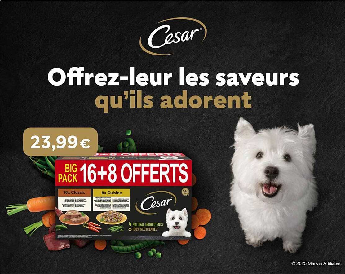 Offrez-leur les saveurs qu'ils adorent