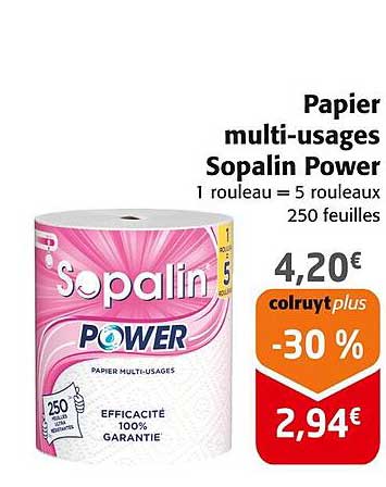 Papier multi-usages Sopalin Power