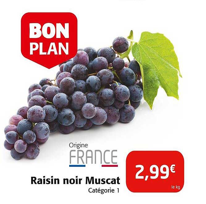 Raisin noir Muscat