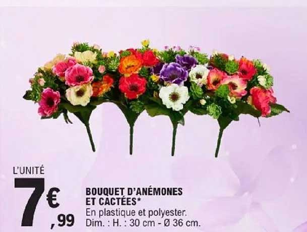 BOUQUET D'ANÉMONES ET CACTÉES*