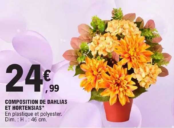 COMPOSITION DE DAHLIAS ET HORTENSIAS*