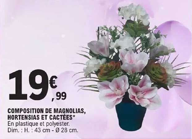 COMPOSITION DE MAGNOLIAS, HORTENSIAS ET CACTÉES*