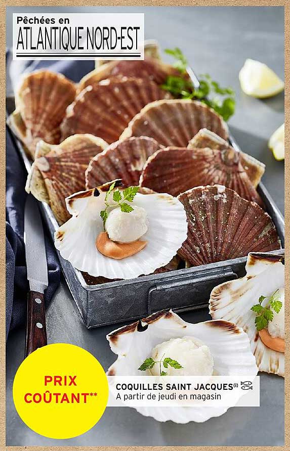 Coquilles Saint Jacques