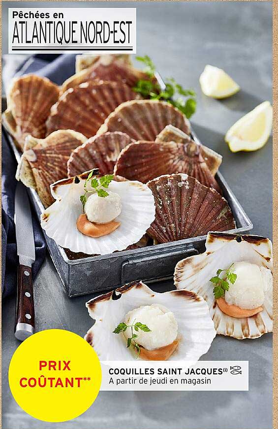 Coquilles Saint Jacques**