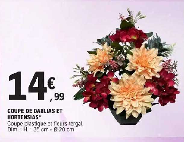 COUPE DE DAHLAS ET HORTENSIAS*