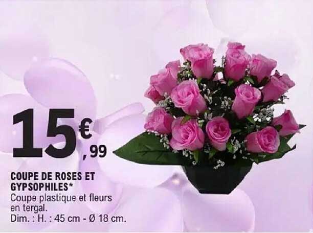COUPE DE ROSES ET GYP SOPHILES*