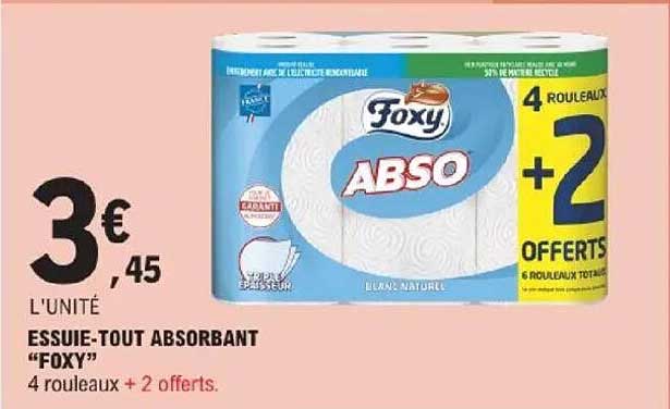 ESSUIE-TOUT ABSORBANT “FOXY”