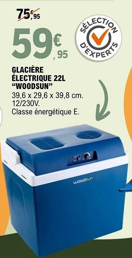 GLACIÈRE ÉLECTRIQUE 22L "WOODSUN"