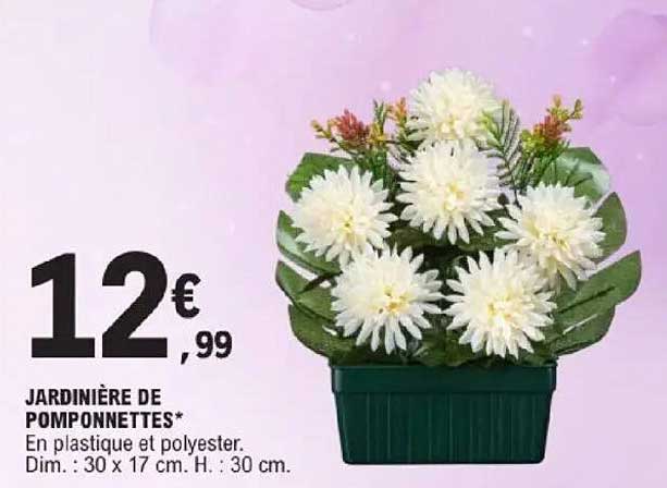 JARDINIÈRE DE POMPONNETTES*
