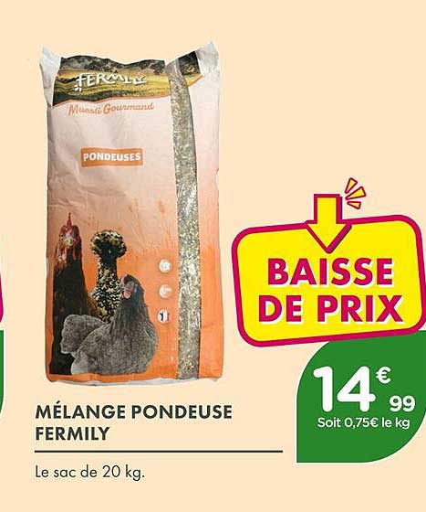 MÉLANGE PONDEUSE FERMILY