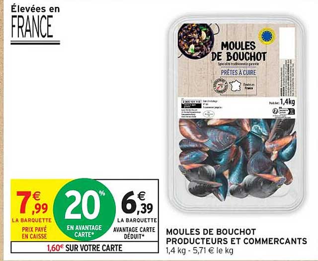 MOULES DE BOUCHOT