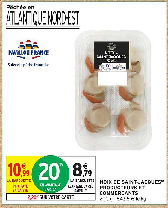 NOIX de SAINT-JACQUES