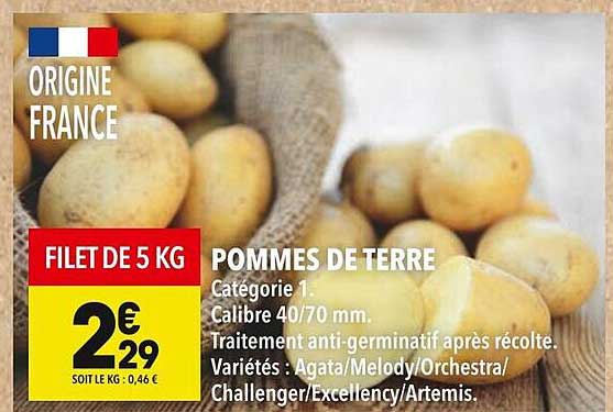 POMMES DE TERRE