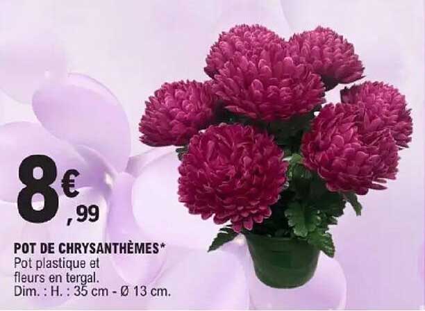 POT DE CHRYSANTHÈMES*